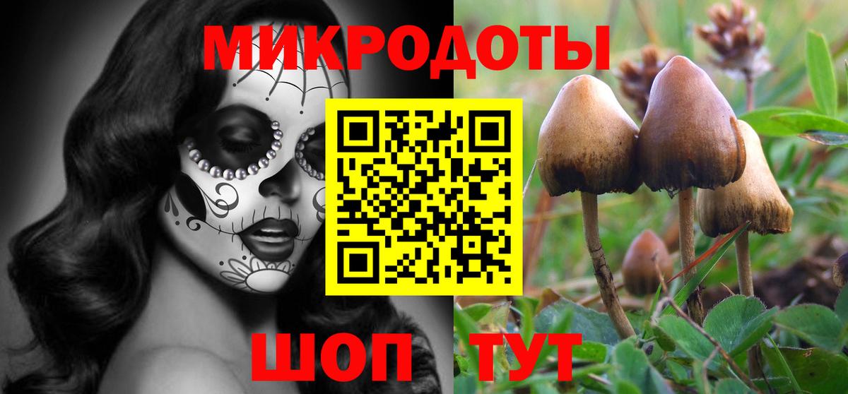 Псилоцибиновые грибы Magic Shrooms  купить наркотики сайты  Симферополь  Вход с VPN  Псилоцибиновые грибы Magic Shrooms 